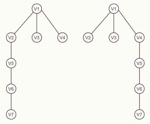 possible BFS trees