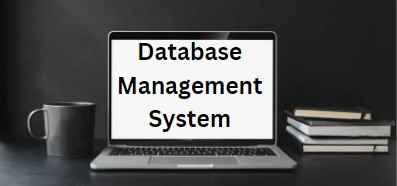 Database Management System