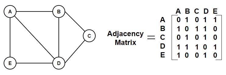 Hamiltonian Graph with backtrack