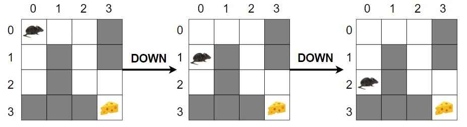 Rat in a Maze Problem - Computer Geek