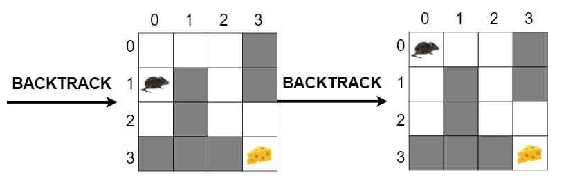 Rat in a Maze problem with backtracking