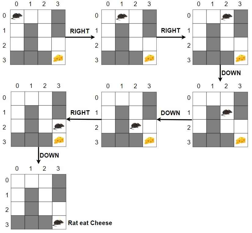 Rat in a Maze Problem - Computer Geek