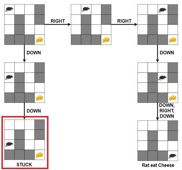 Rat in a Maze problem without backtracking